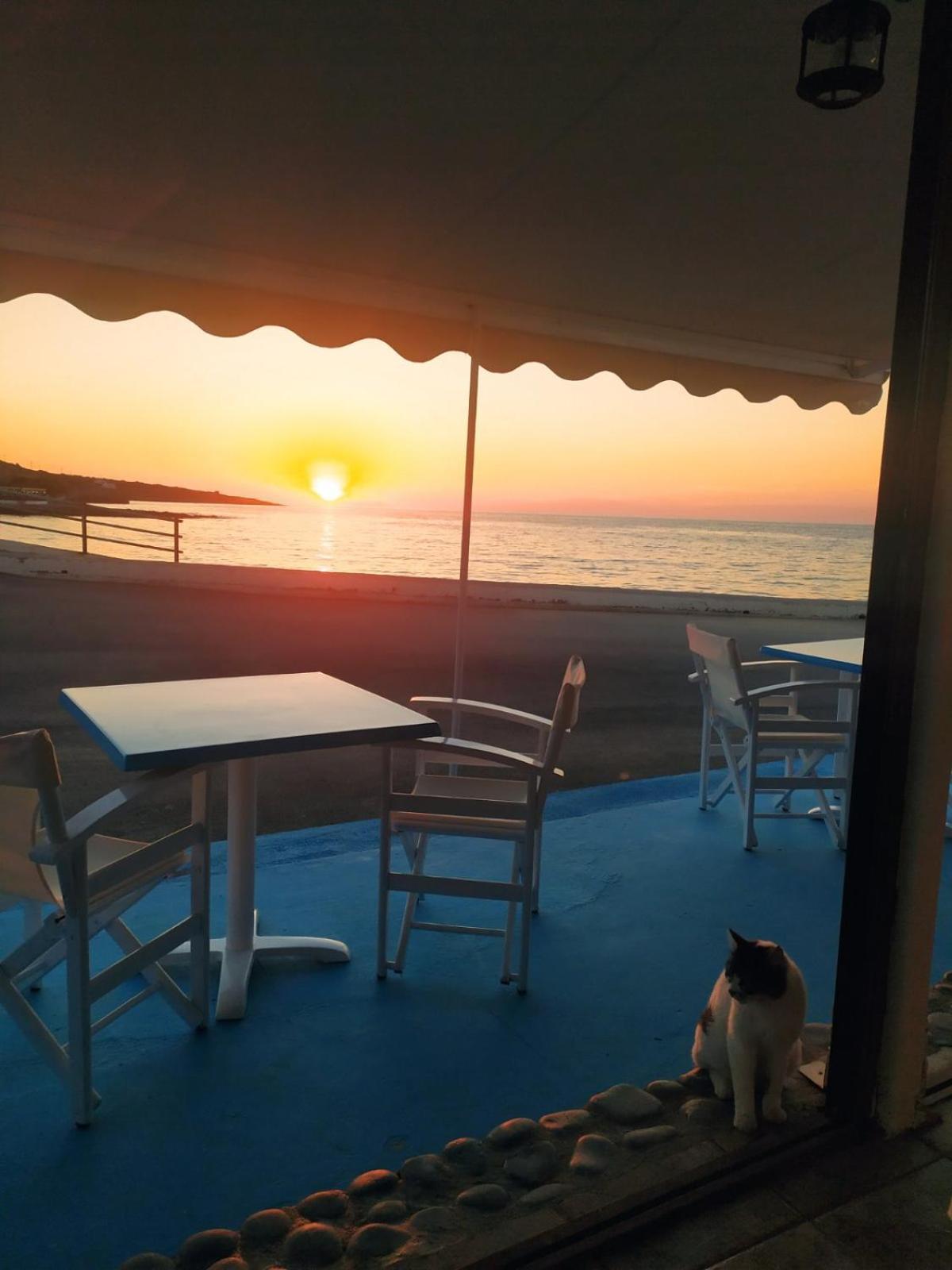 Meltemi Beach Apartments ميلاتوس المظهر الخارجي الصورة