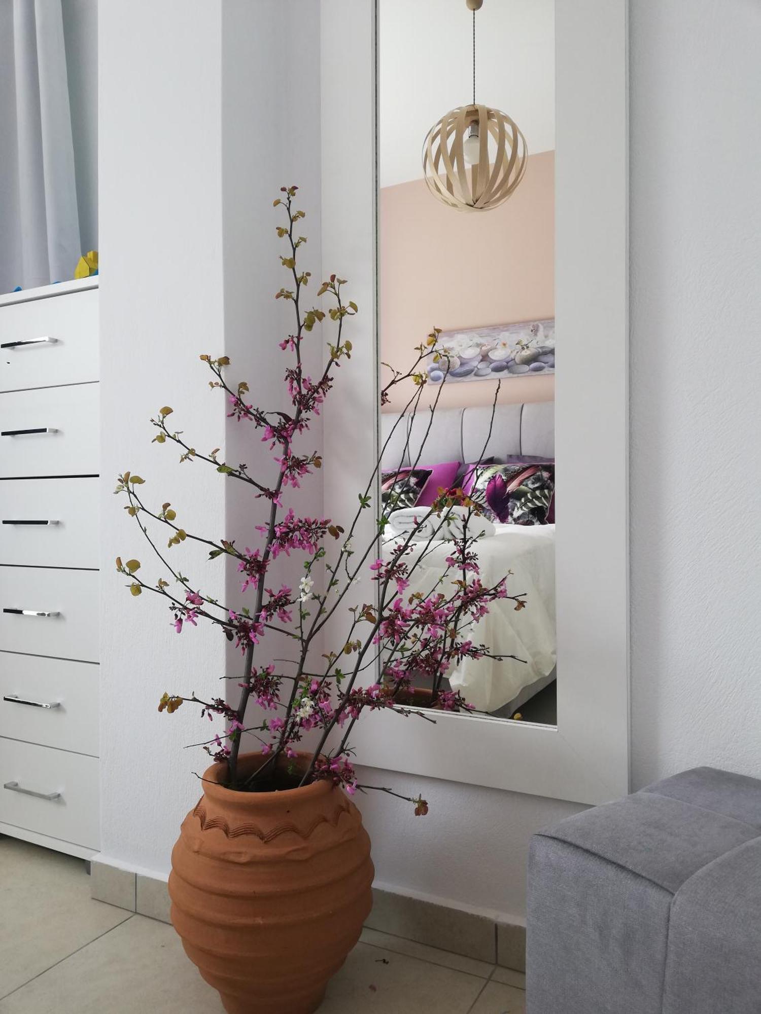 Meltemi Beach Apartments ميلاتوس المظهر الخارجي الصورة